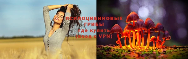 бошки Арсеньев