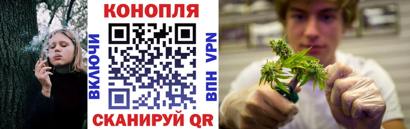 как найти   Бутурлиновка  МЕГА маркетплейс  Каннабис AK-47 